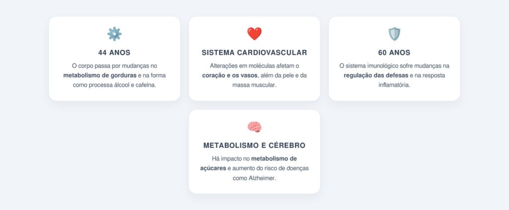 O que muda no corpo em cada fase?