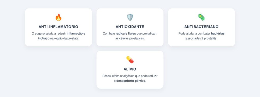 Como o cravo-da-índia pode atuar nos sintomas da prostatite?