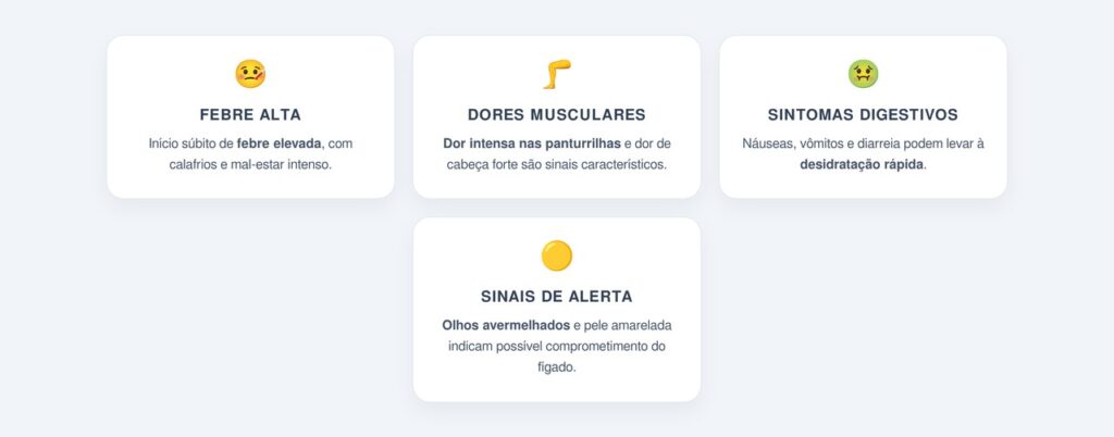 Principais sintomas da leptospirose