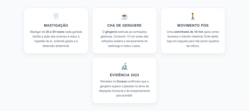 Estratégias Naturais para uma Digestão EficienteEstratégias Naturais para uma Digestão Eficiente
