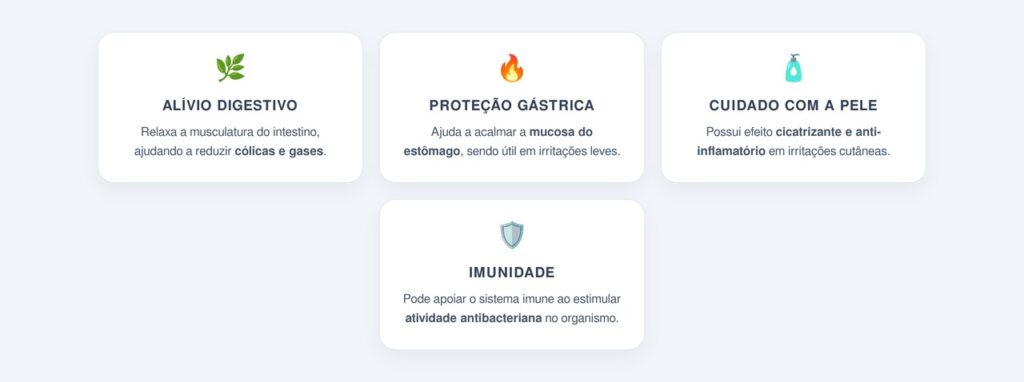 Benefícios da camomila para a digestão e a pele