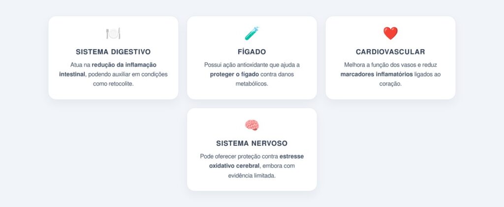Outros sistemas do corpo que se beneficiam da curcumina