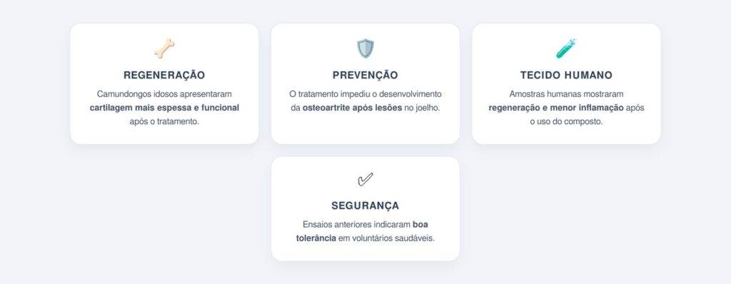 Principais resultados observados pelos pesquisadores