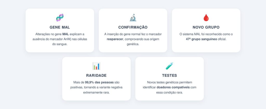 Como os cientistas finalmente resolveram o enigma?