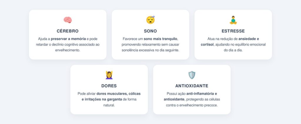 Principais benefícios da sálvia para a saúde do corpo e da mente