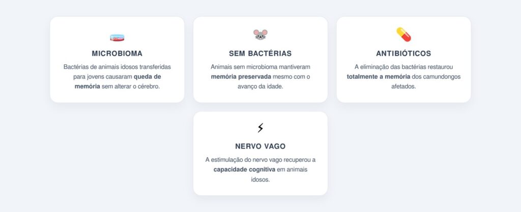 O que os experimentos com camundongos revelaram?