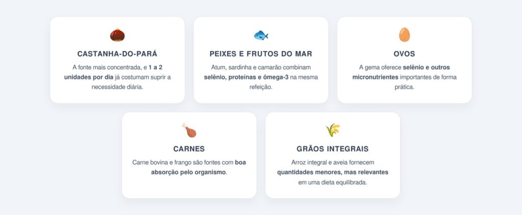 A castanha-do-pará como fonte ideal e os riscos do consumo excessivo