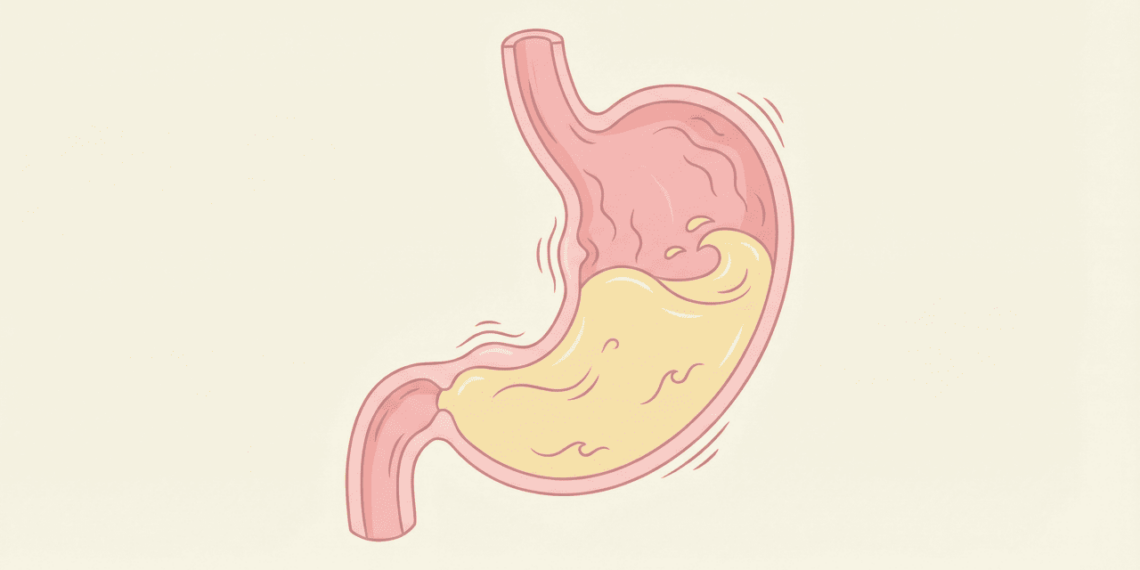 Por que o estômago dói quando a pessoa fica muito tempo sem comer?