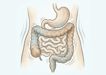 Por que a barriga ronca mesmo quando a pessoa não está com fome?