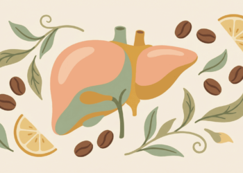 6 bebidas comuns para o cuidado diário do fígado