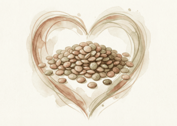 A leguminosa que tem mais proteína que carne e custa bem menos