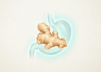 Como usar o gengibre para reduzir a inflamação no estômago e na garganta