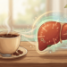 Fígado gorduroso: como o consumo de café afeta a fibrose hepática