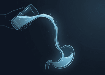 Qual a quantidade de água que deve ser consumida diariamente para manter um sistema digestivo saudável?