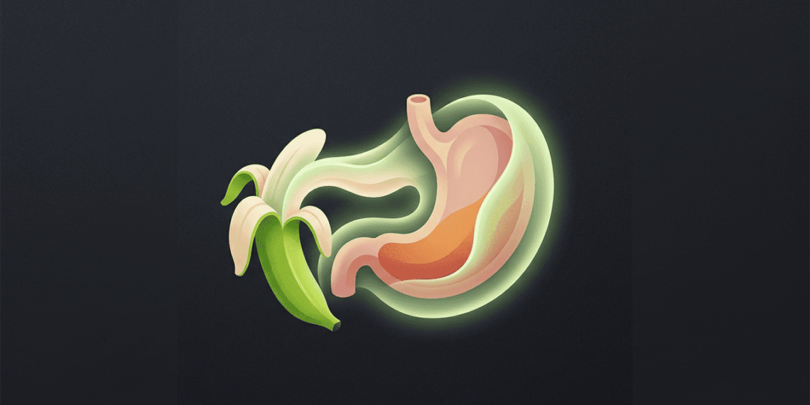 A fruta que regenera e protege a mucosa do estômago segundo a ciência