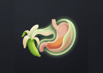 A fruta que regenera e protege a mucosa do estômago segundo a ciência