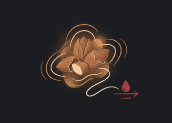 Jejum intermitente: o pequeno segredo das amêndoas que poucos conhecem