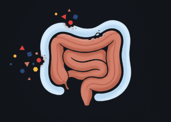 Ingredientes ultraprocessados que inflamam o intestino sem você perceber