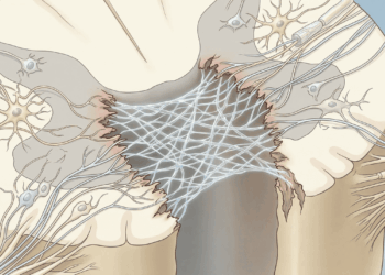 Nova proteína desenvolvida no Brasil avança para testes clínicos