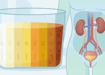 O que a cor da sua urina pela manhã revela sobre o seu metabolismo