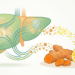 Nem todo ritual com cúrcuma e limão em jejum traz vantagem real para o fígado