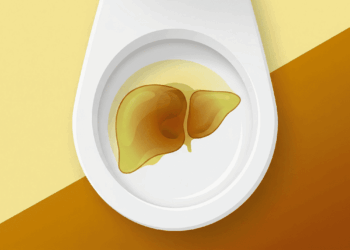 Primeira urina do dia pode mostrar sinais silenciosos de que o fígado pede atenção