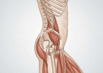 A dor nas costas que não passa começa pelo quadril: um segredo simples que pode mudar completamente a forma como você se movimenta