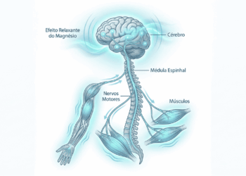 Uma vitamina que acalma os nervos e melhora o humor e quase ninguém toma direito