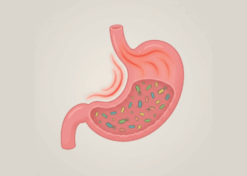 Como saber se tenho H. pylori? Aqui estão os sintomas e os exames