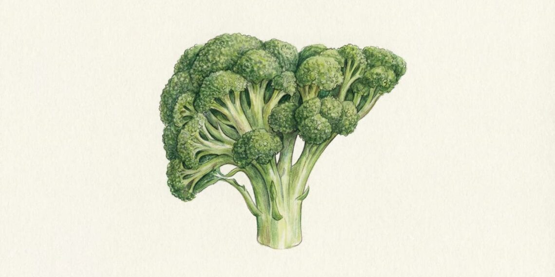 Fígado gordo tem cura? O alimento simples e barato que deve estar no seu prato principal para ajudar a derreter a esteatose