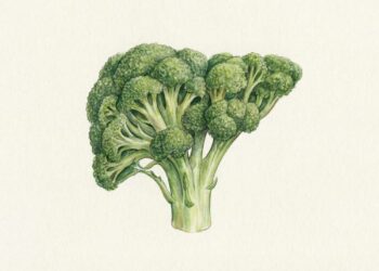 Fígado gordo tem cura? O alimento simples e barato que deve estar no seu prato principal para ajudar a derreter a esteatose