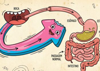 Quanto tempo leva para o chiclete ser processado se for engolido por acidente?