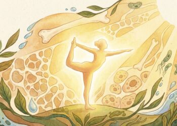 Por que a vitamina D é importante: quando suplementá-la e quando o sol é suficiente