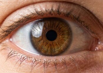 Por que as lágrimas que os nossos olhos produzem o tempo todo são de grande importância para a visão