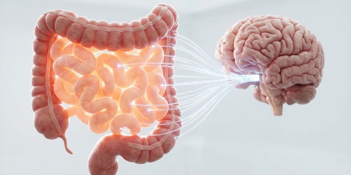 Por que as bactérias que vivem no nosso intestino são de grande importância para o humor e a mente