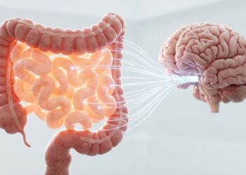 Por que as bactérias que vivem no nosso intestino são de grande importância para o humor e a mente