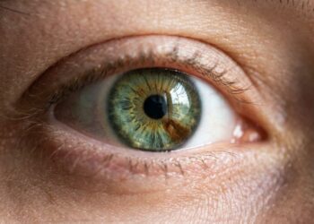 Cor dos olhos: quais são as mais raras e as mais comuns no mundo, e o que a genética explica sobre sua origem?