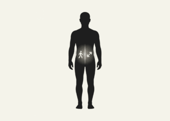 Caminhada ou musculação à tarde: qual a melhor opção para queimar gordura abdominal?