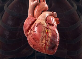 Infarto ou ansiedade: como diferenciar os sintomas e agir corretamente?