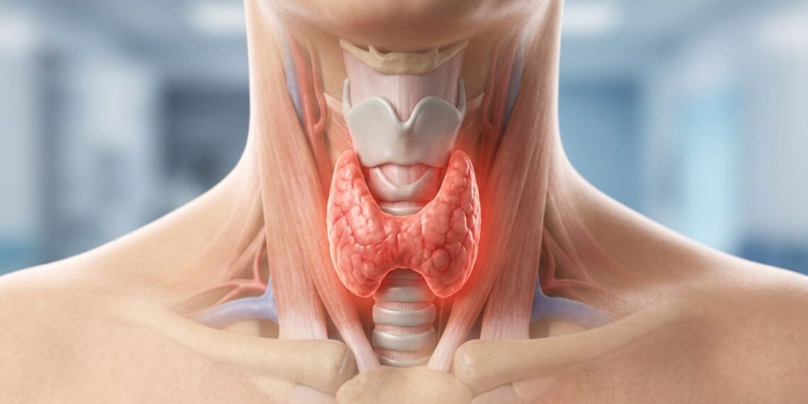 Qual o papel do selênio na prevenção de doenças da tireoide e na proteção contra o estresse oxidativo?