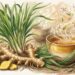 8 benefícios do cozimento de capim-limão e gengibre para a saúde do corpo