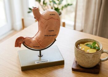 Estômago pesado após comer? 3 formas naturais de aliviar