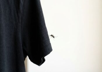 Os mosquitos localizam as pessoas com base em dois sinais: cores escuras e concentração de dióxido de carbono