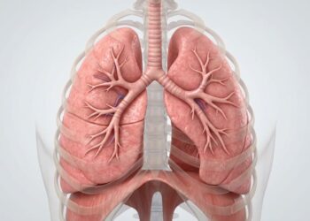 Como limpar os pulmões naturalmente: sete dicas simples para mantê-los saudáveis