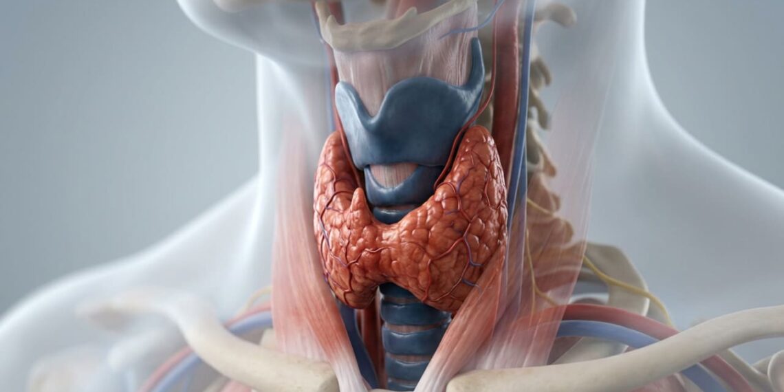 Qual o papel do magnésio na prevenção de doenças da tireoide e na regulação do metabolismo?