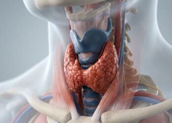 Qual o papel do magnésio na prevenção de doenças da tireoide e na regulação do metabolismo?