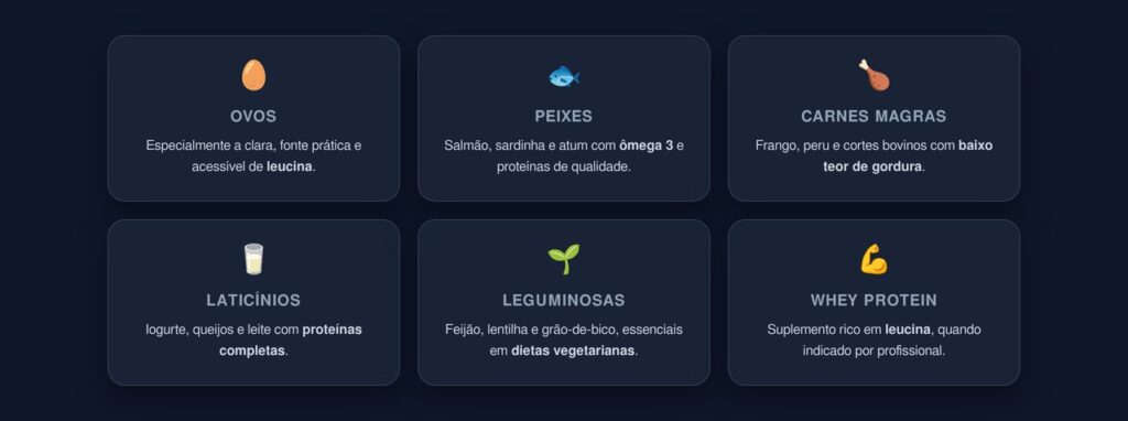 alimentos ricos em proteína e leucina