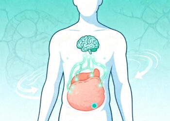 Cientistas descobrem hormônio natural que reverte a obesidade
