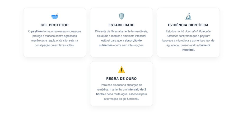 Qual é a fibra solúvel exata que ajuda a tratar a parede do intestino e manter os nutrientes no longo prazo?