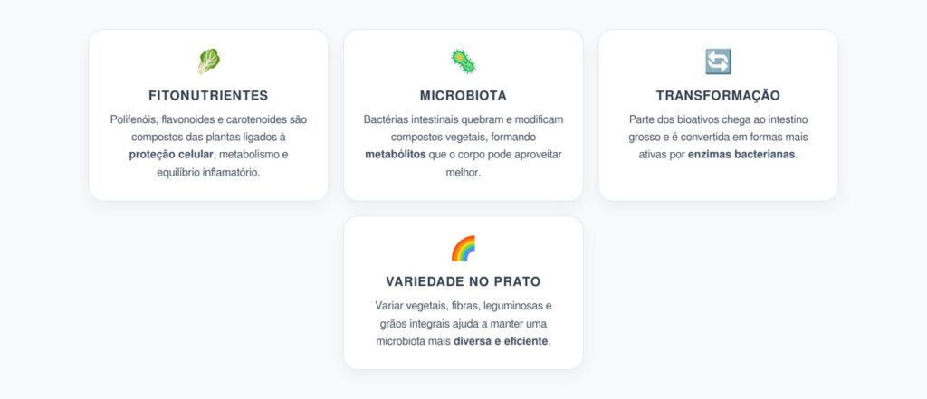 Fitonutrientes dos Vegetais: Como o Intestino Ativa Seus Benefícios